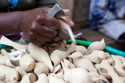 Mifuko Dekovogel Holz handgeschnitzt Best
