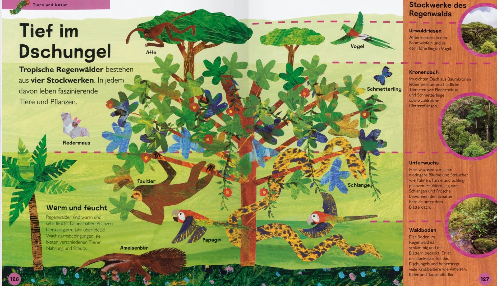 Gerstenberg Verlag Die kleine Raupe Nimmersatt Online