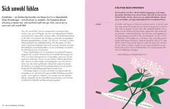 Dorling Kindersley Verlag Die pflanzliche Hausapotheke Clearance