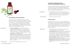 Dorling Kindersley Verlag Die pflanzliche Hausapotheke Clearance