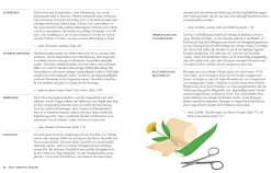 Dorling Kindersley Verlag Die pflanzliche Hausapotheke Clearance