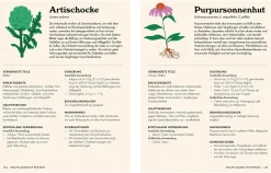 Dorling Kindersley Verlag Die pflanzliche Hausapotheke Clearance