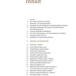 AT Verlag Die Walnuss Outlet