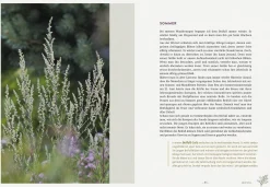 Ulmer Verlag Die wilden Neun Sale