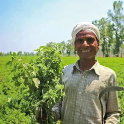 Dr. Bronner’s Duschgel Hot