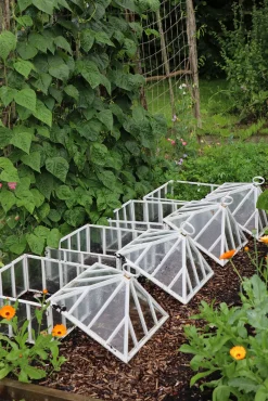 Claverton Cloches Englische Frühbeetglocke Hot