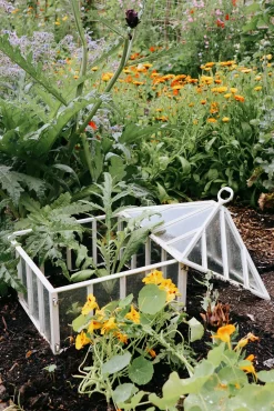 Claverton Cloches Englische Frühbeetglocke Hot