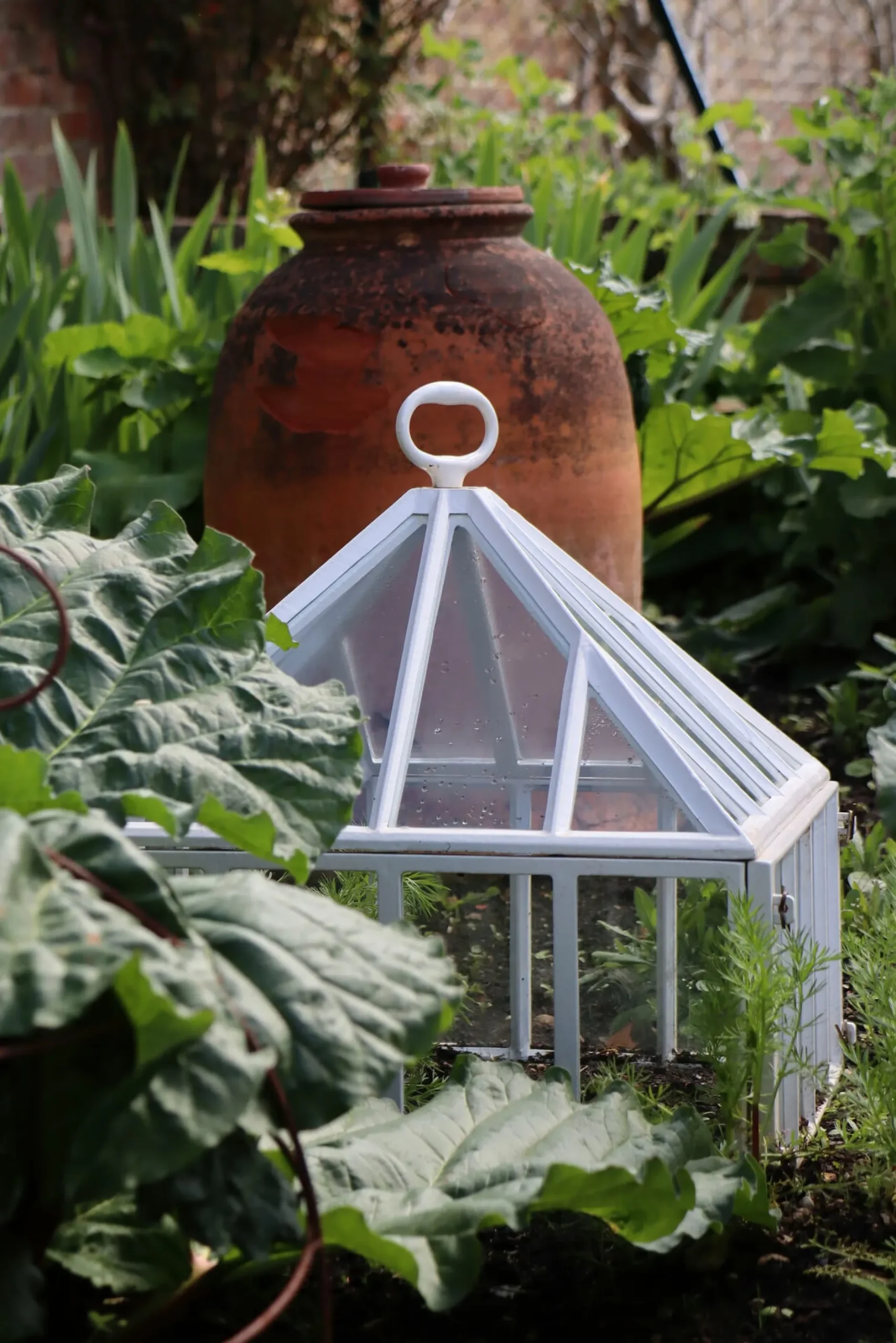 Claverton Cloches Englische Frühbeetglocke Hot