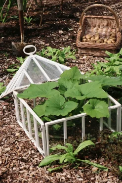 Claverton Cloches Englische Frühbeetglocke Hot