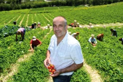 Karl Telfser Erdbeer-Fruchtaufstrich aus Südtirol Best