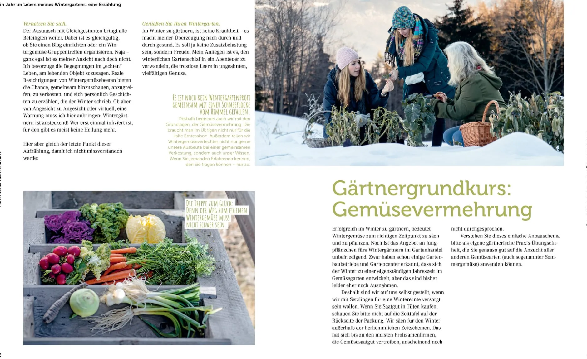 Löwenzahn Verlag Ernte mich im Winter