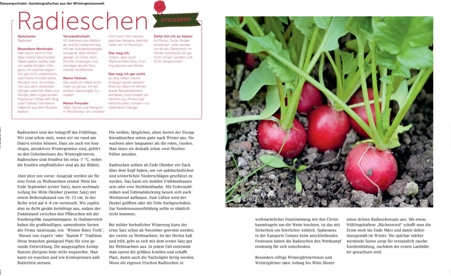 Löwenzahn Verlag Ernte mich im Winter