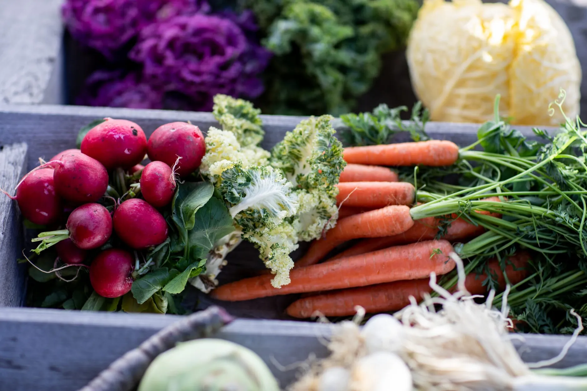 Löwenzahn Verlag Ernte mich im Winter