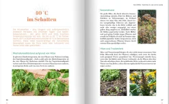 Landwirtschaftsverlag Erntewunder trotz Wetterchaos Clearance