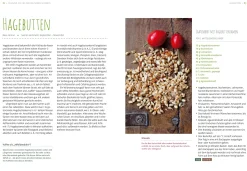 Ulmer Verlag Essbare Wildsamen Outlet