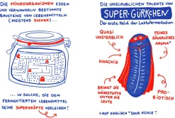 Ulmer Verlag Fermentieren Clearance