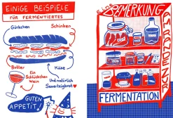 Ulmer Verlag Fermentieren Clearance