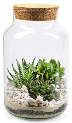 Jodeco Glass Flaschengarten mit Substrat Hot