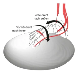 Holz-Hoerz Fuß- und Beinachsentrainer Hot