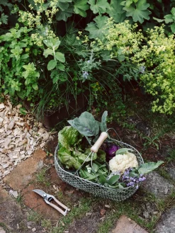 Clauberg Filhos Gartenschere Holzgriff Sale