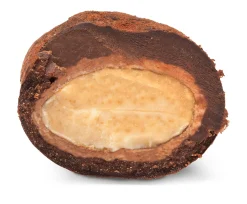 Les Amandes et Olives du Mont Bouquet Gebrannte Mandeln in Schokolade aus Frankreich Sale