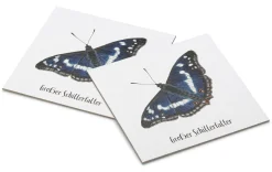 Atelier Baldrian & Hackel Gedächtnisspiel Outlet