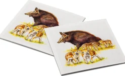 Quelle ＆ Meyer Verlag Gedächtnisspiel Natur