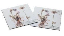 Manufactum Gedächtnisspiel Wiesenpflanzen Outlet