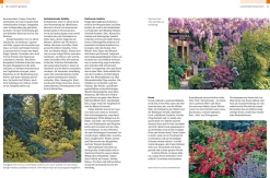 Ulmer Verlag Gehölze von A-Z Online