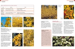 Ulmer Verlag Gehölze von A-Z Online