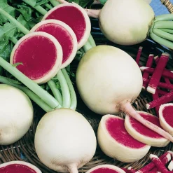 Manufactum Gemüsesamen Asiatische Gemüse Clearance