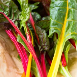 Manufactum Gemüsesamen Dekorative Gemüse Online