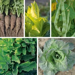 Manufactum Gemüsesamen Gemüse aus deutschen Regionen Hot