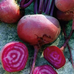 Manufactum Gemüsesamen Gemüsespezialitäten europäischer Regionen Sale