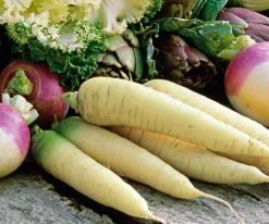 Manufactum Gemüsesamen Gemüsespezialitäten europäischer Regionen Sale