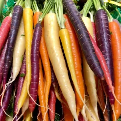 Samenarchiv Gerhard Bohl Gemüsesamen Historische Wurzelgemüse Sale