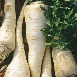 Manufactum Gemüsesamen Winterkräuter Sale