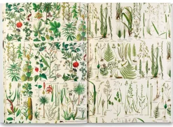 Geschenkpapier Pepin New