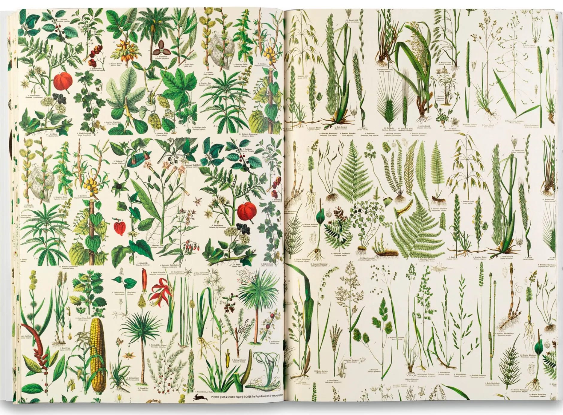 Geschenkpapier Pepin New