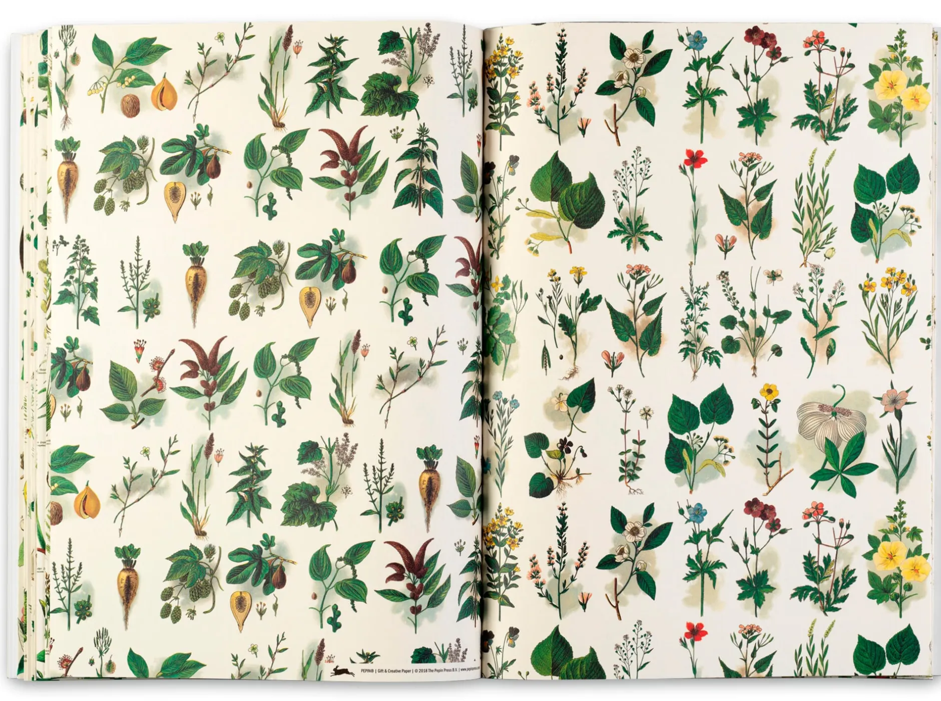 Geschenkpapier Pepin New