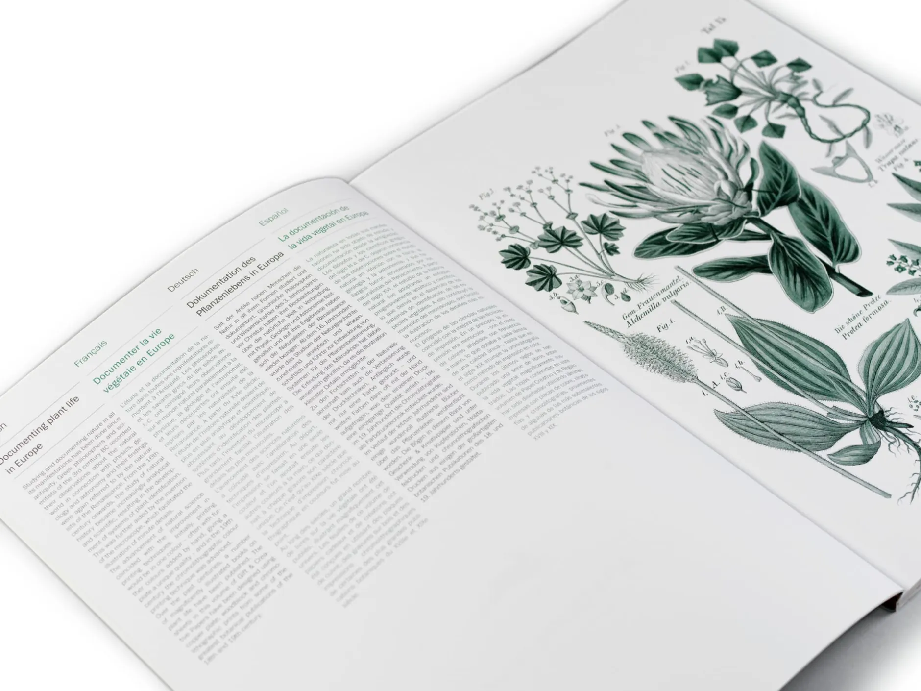 Geschenkpapier Pepin New