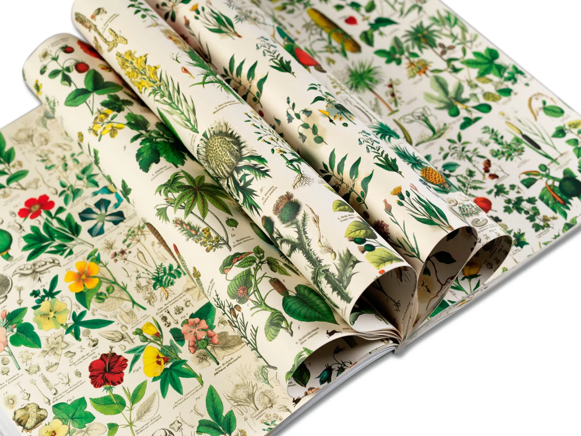 Geschenkpapier Pepin New