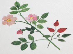 Büttenpapierfabrik Gmund Grußkarten Blumen Discount