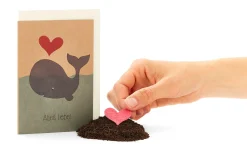 Die Stadtgärtner Grußkarten mit Wildblumensamen Online