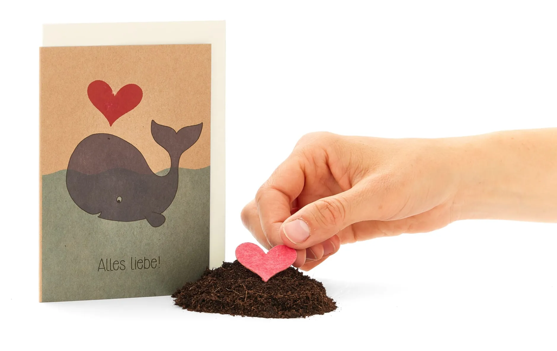 Die Stadtgärtner Grußkarten mit Wildblumensamen Online