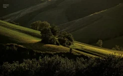 Dorling Kindersley Verlag Gutes Brot