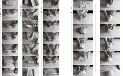 Dorling Kindersley Verlag Gutes Brot