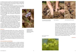 Löwenzahn Verlag Handbuch Samengärtnerei Online