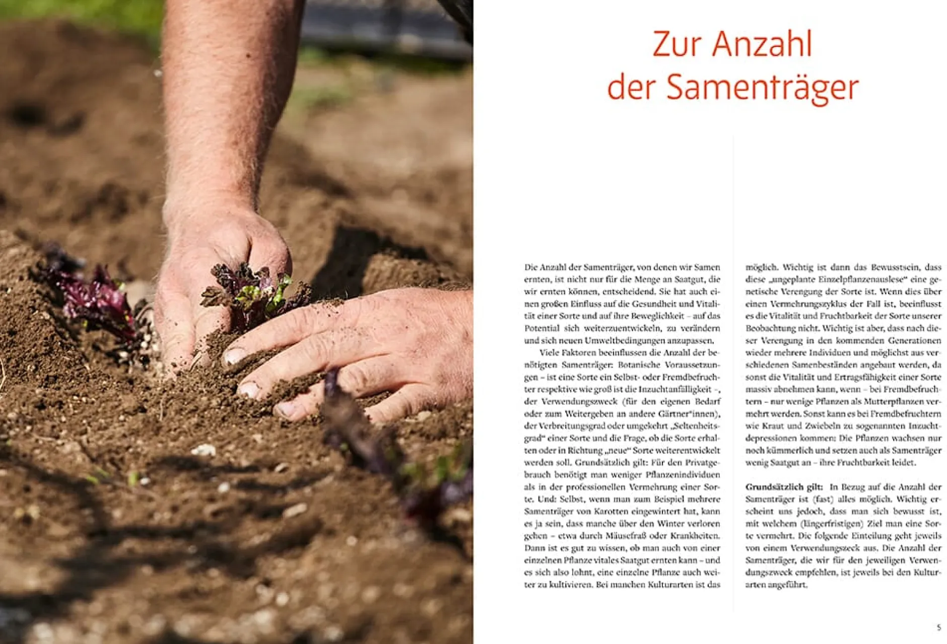 Löwenzahn Verlag Handbuch Samengärtnerei Online