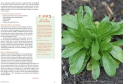 Löwenzahn Verlag Handbuch Samengärtnerei Online